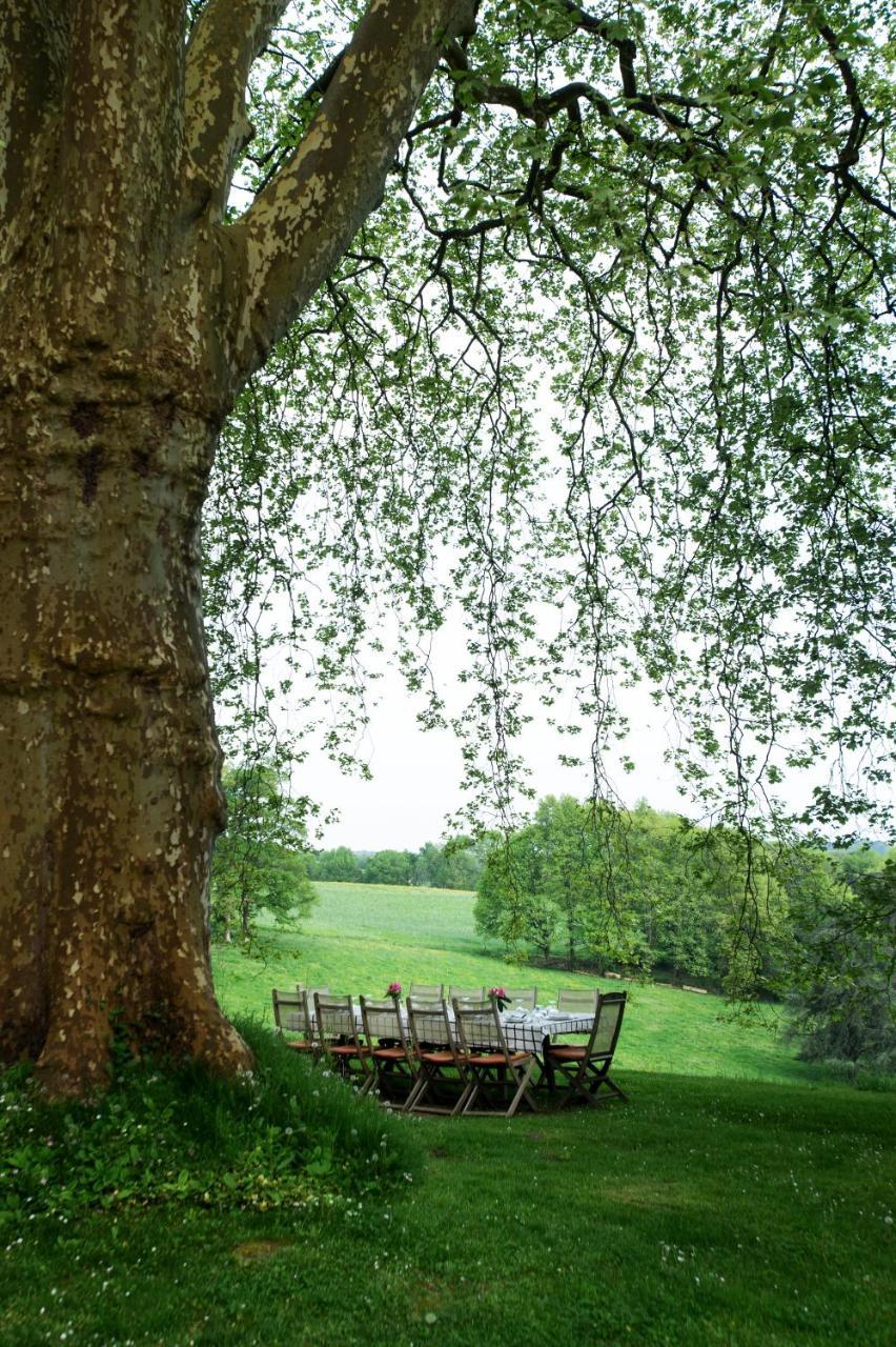 Chateau D'Orion Bagian luar foto